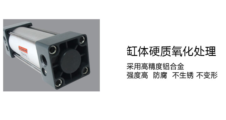 標準氣缸 標準氣缸