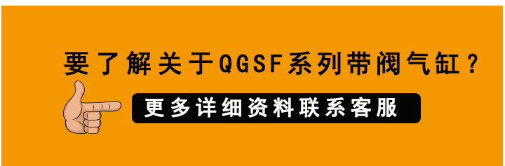 帶閥標(biāo)準(zhǔn)氣缸